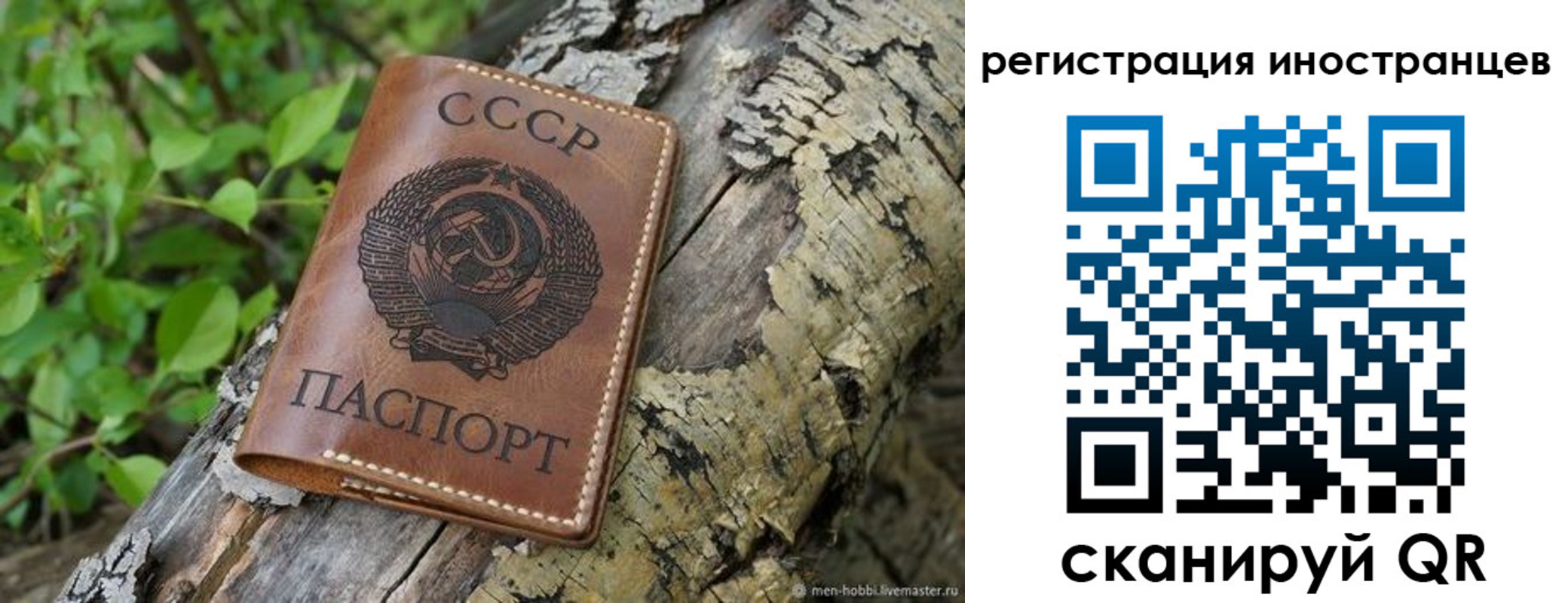 временная регистрация в Сосновом Бору